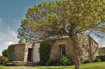 moinhos da tia antoninha