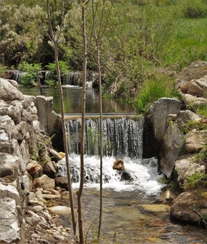 moinhos da tia antoninha