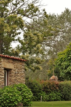 moinhos da tia antoninha