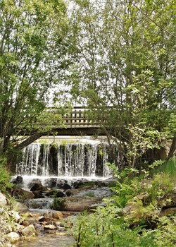 moinhos da tia antoninha