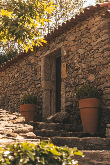 moinhos da tia antoninha