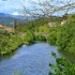 amares
