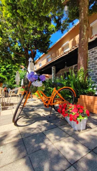corredoura garden alojamento