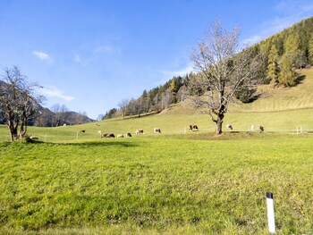cozy apartment in bad kleinkirchheim with terrace