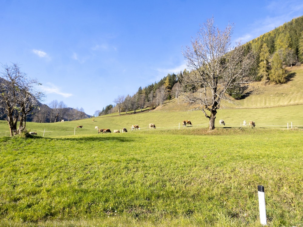 cozy apartment in bad kleinkirchheim with terrace