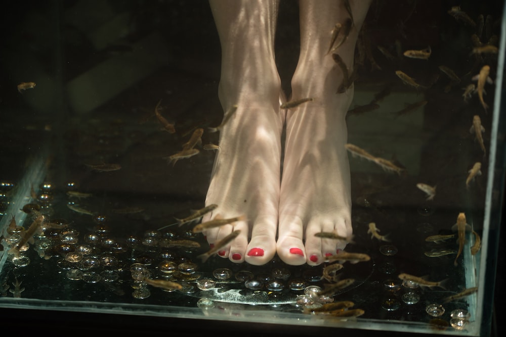 relais valle orientina