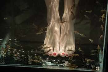 relais valle orientina