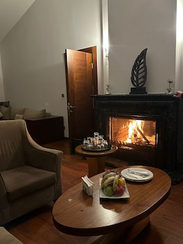 synosse park hotel