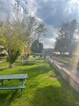 synosse park hotel