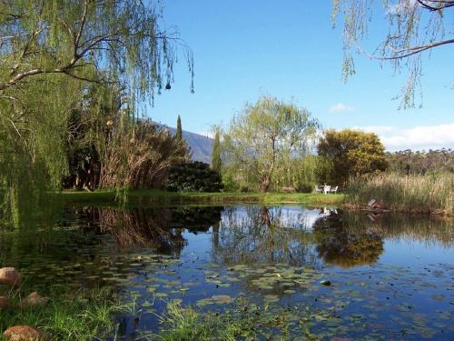 rothman manor guest house