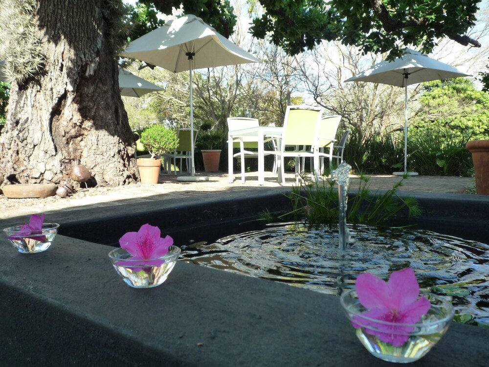 rothman manor guest house