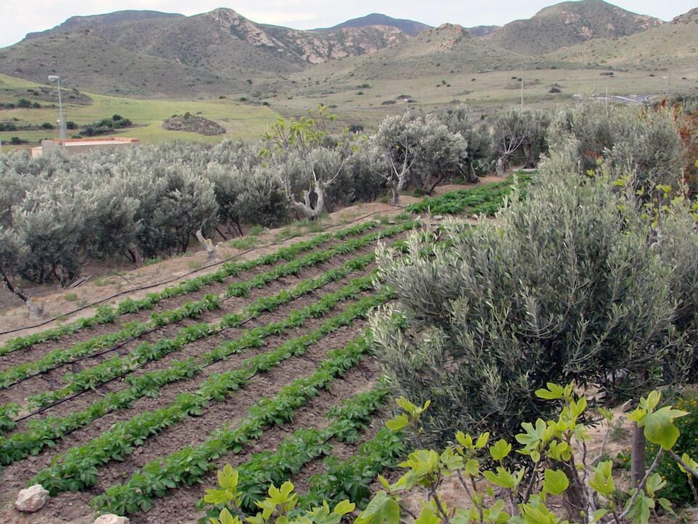 hospederia rural los palmitos