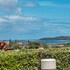 yamba