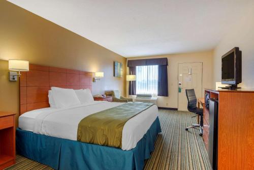 quality inn