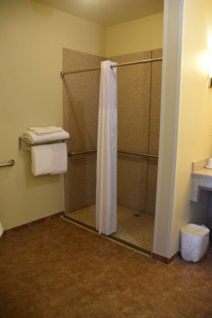 best western dothan inn and suites