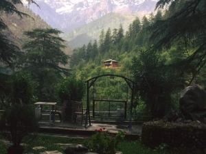 hotel deep forest kasol
