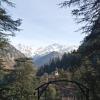 Hotel Deep Forest Kasol,Kullu>>Kasol,3 star