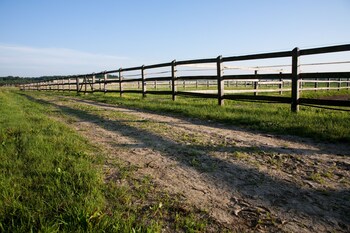 abbazia country club