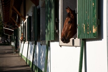 abbazia country club