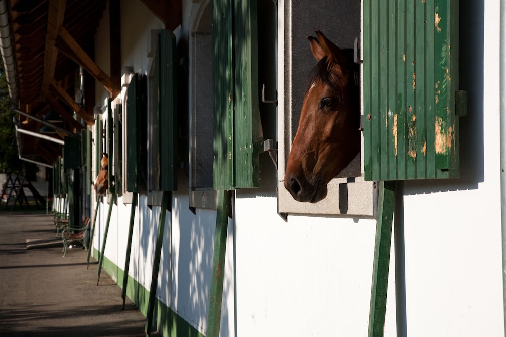 abbazia country club