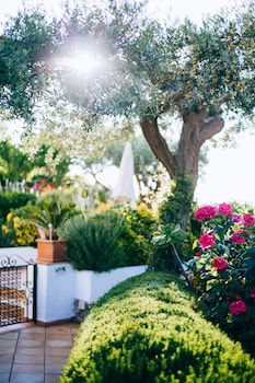 Il Giardino Dell'arte - Guest House,Capri>>Anacapri,3 star