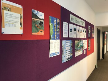 yha nelson by accents hostel