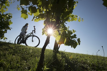 panoramahof loipersdorf