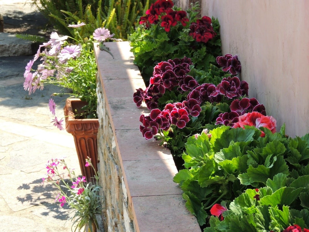 thats amore cilento country house