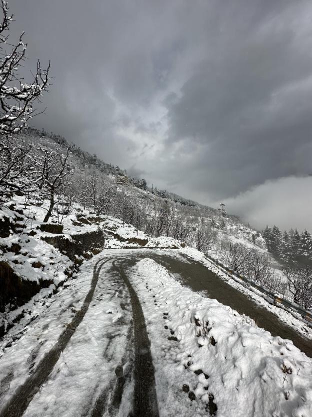 himalayan adventure cottages manali