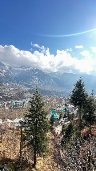 himalayan adventure cottages manali