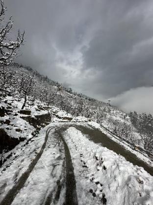 himalayan adventure cottages manali