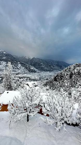 himalayan adventure cottages manali