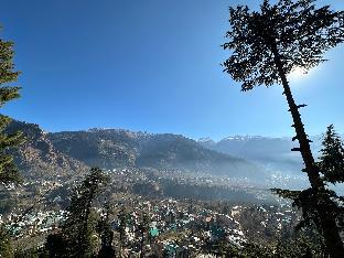 himalayan adventure cottages manali