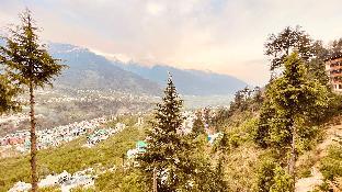 himalayan adventure cottages manali