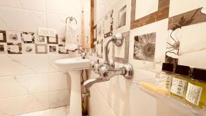 himalayan adventure cottages manali