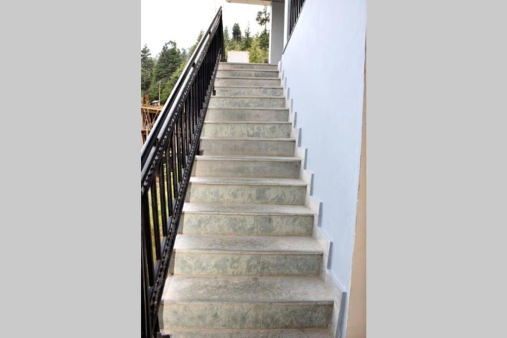 himalayan adventure cottages manali