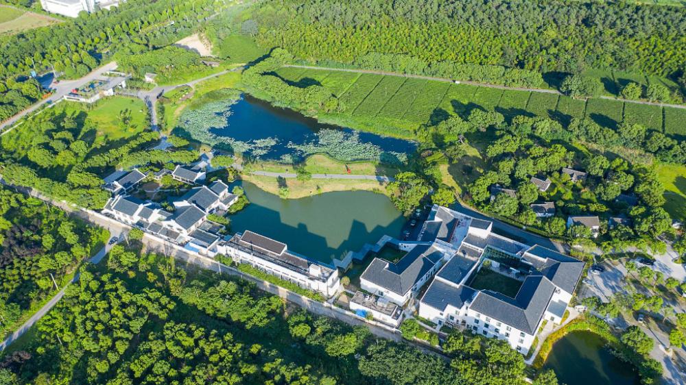 jiulong bay garden rezen hotel