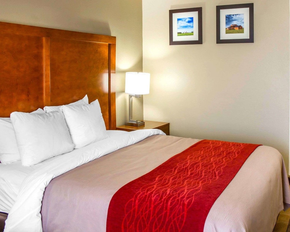 comfort inn and suites coralville