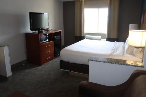 comfort inn and suites coralville