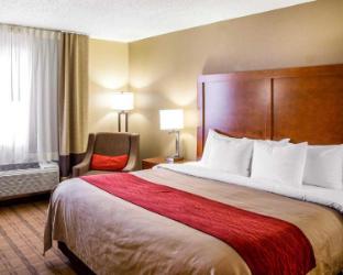 comfort inn and suites coralville