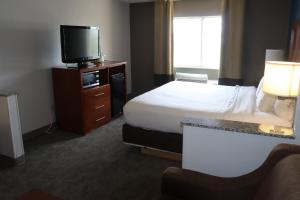 comfort inn and suites coralville