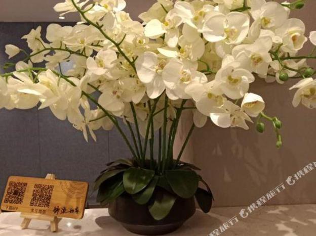 rujia hotel neo