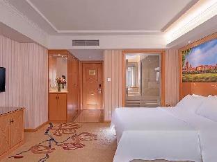 vienna hotel guangdong dongguan dalang