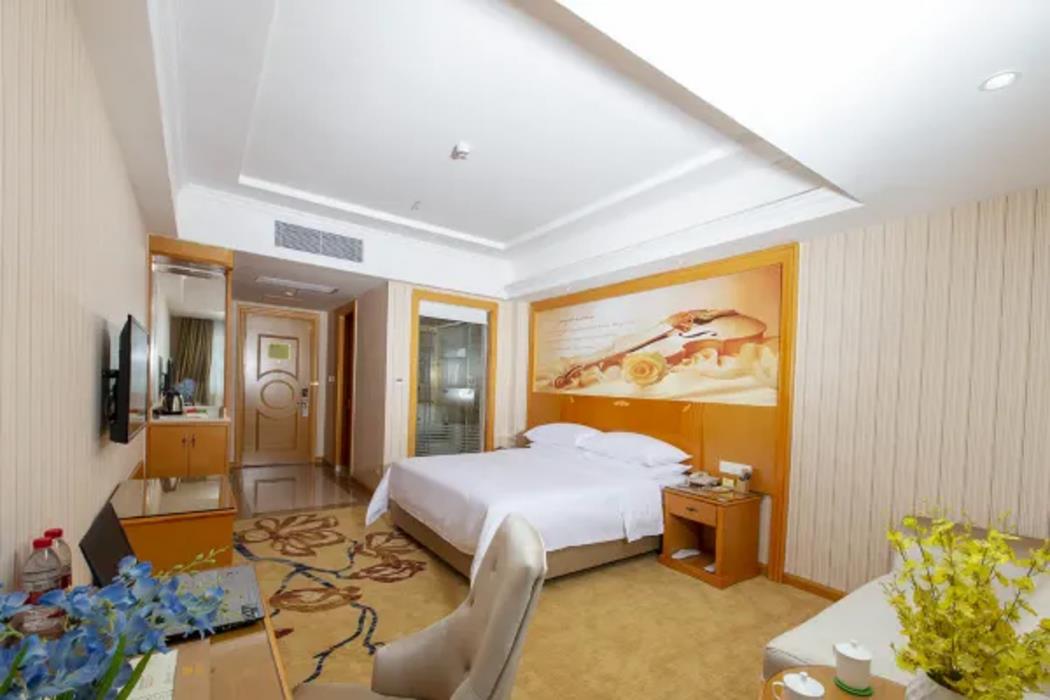 vienna hotel guangdong dongguan dalang