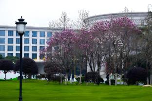 riverside guesthouse jiangxi