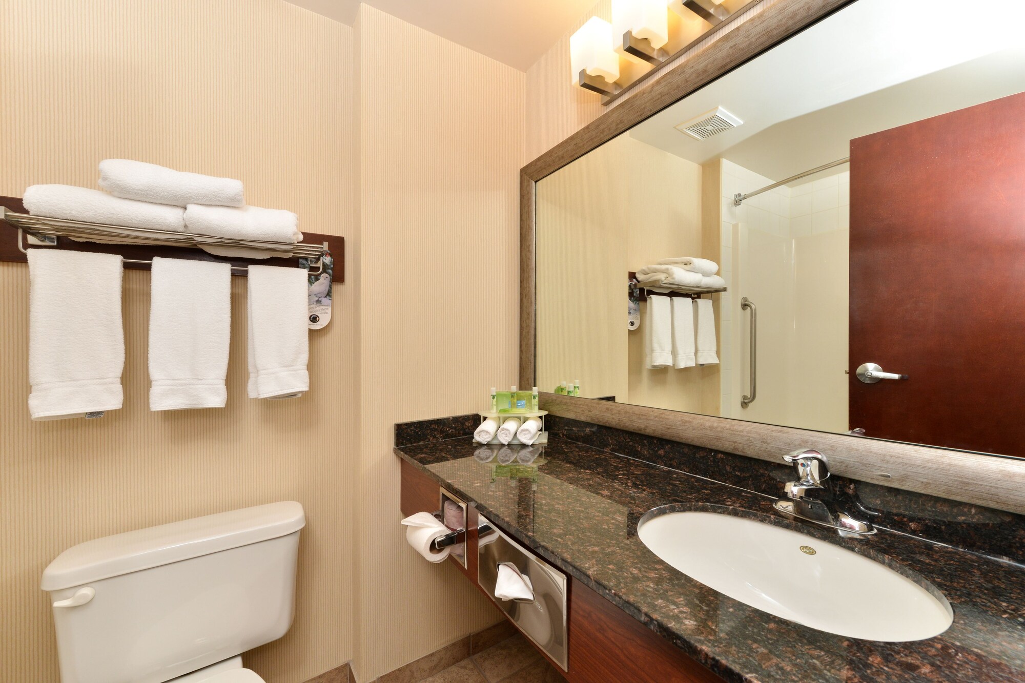 holiday inn express hotel and suites edmonton north by ihg