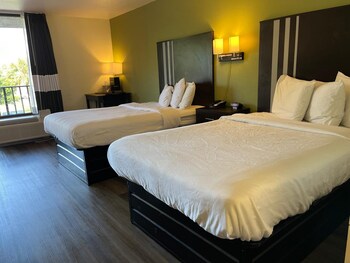 quality inn elkton st augustine south