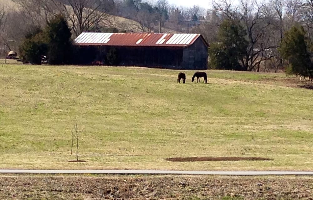 econo lodge sevierville pigeon forge on the river
