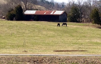 econo lodge sevierville pigeon forge on the river