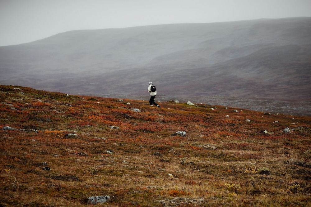 lapland hotels riekonlinna